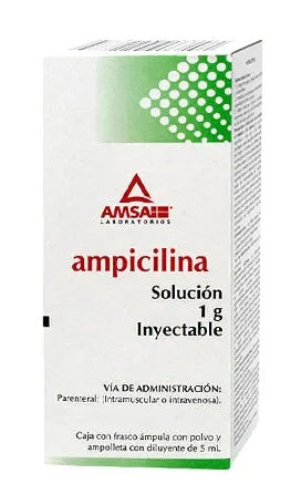 AMPICILINA INY. 1G. CAJA C/FCO. AMP. C/PVO. Y AMP. C/5 ML.