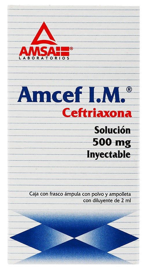 AMCEF INY. 500 MG. I.M. FCO. AMP. Y AMP. C/2 ML.